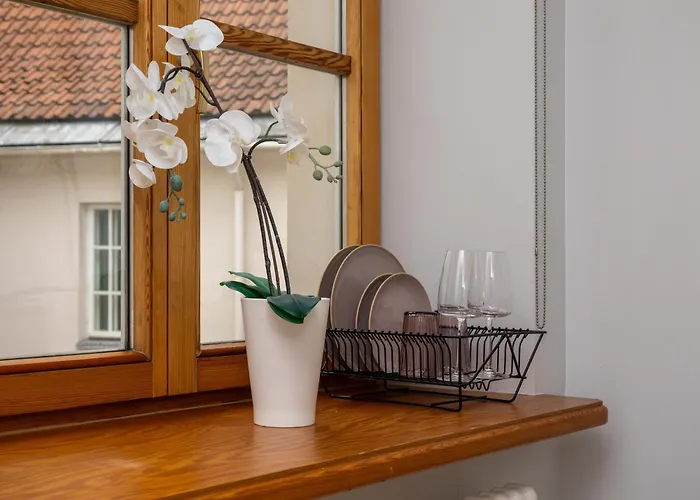 公寓 Tirgonu Square 里加