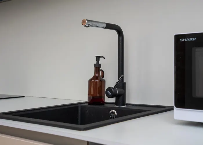 公寓 Tirgonu Square